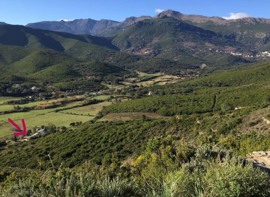 Belle Villa A Misincu- A Deux Pas De La Plage Cagnano Exterior foto